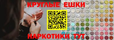 apvp Свободный