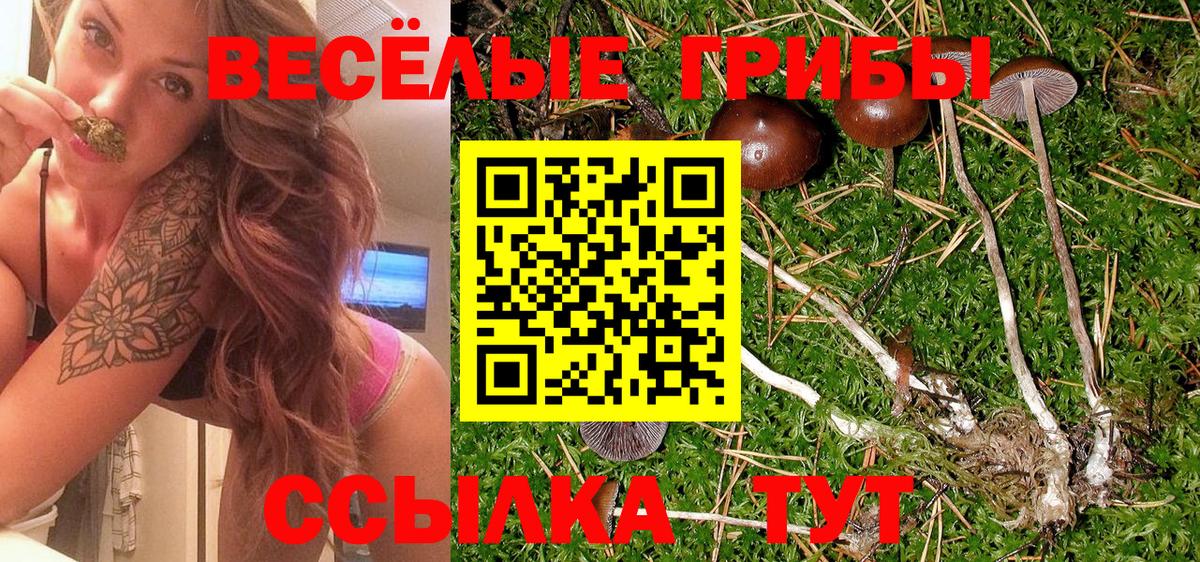 Галлюциногенные грибы мухоморы Нурлат